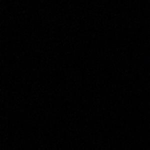 Meet your Posher, Jazmin